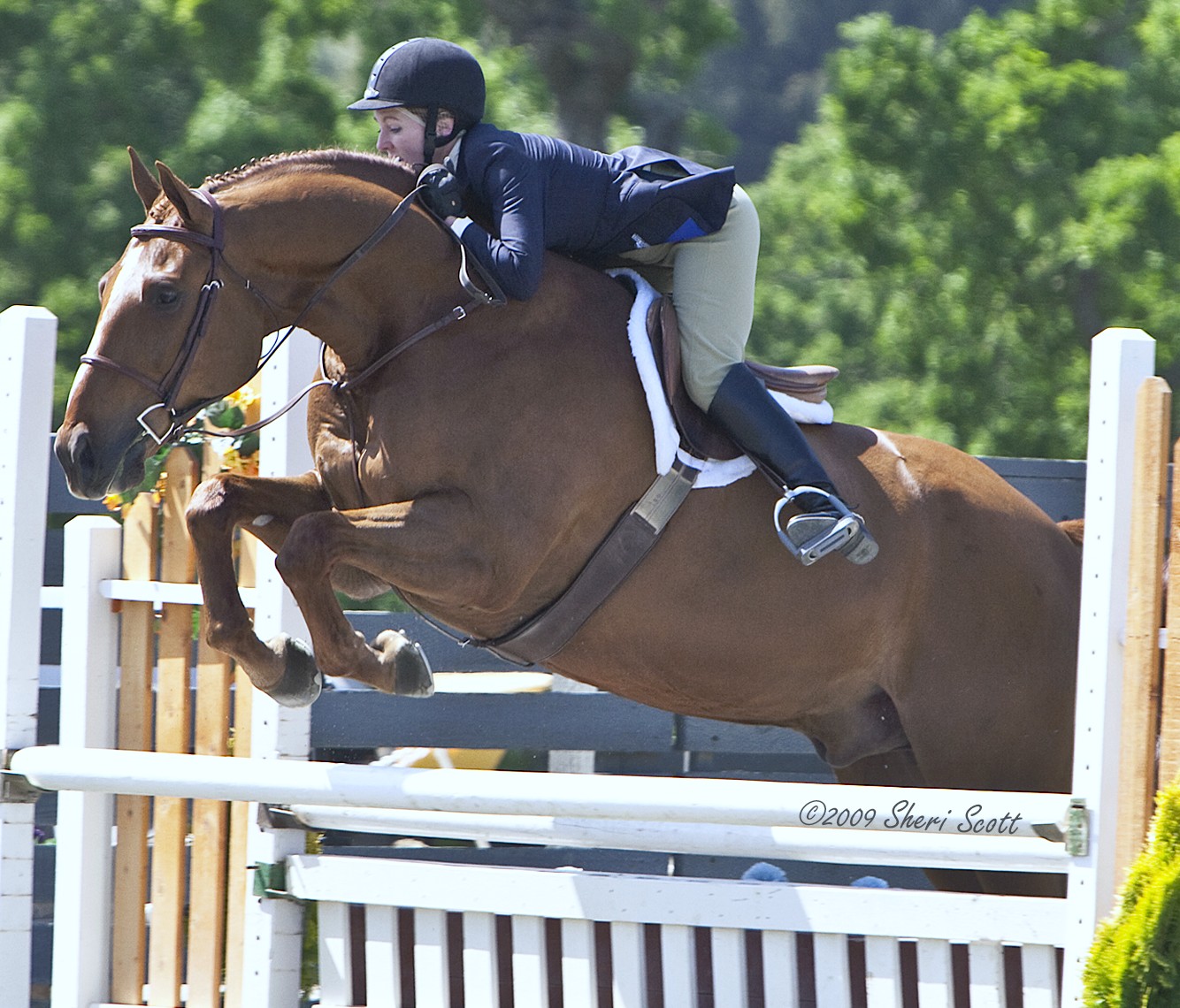 Unknown Artist horseracing